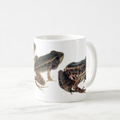 Tadpole zum Frosch: Drei Bühnen Entwicklung Kaffeetasse (VorderseiteRechts)