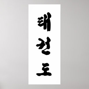 Tae Kwon Do Canvas print Poster