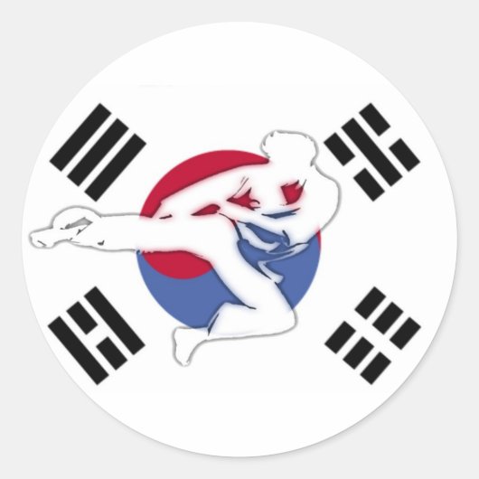 Tae Kwon Do Flyer Stickers (Vorderseite)