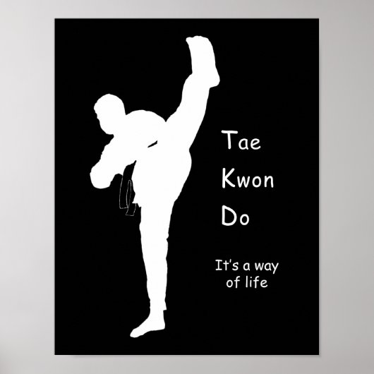 Tae Kwon Do Poster (Vorne)