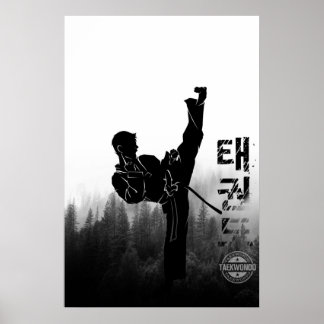 Taekwondo koreanischer Hoher Kick Poster