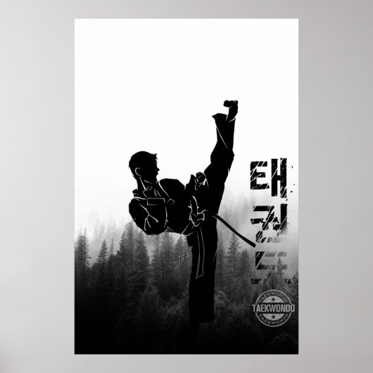 Taekwondo koreanischer Hoher Kick Poster (Vorne)