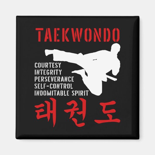 Taekwondo Magnet (Vorne)
