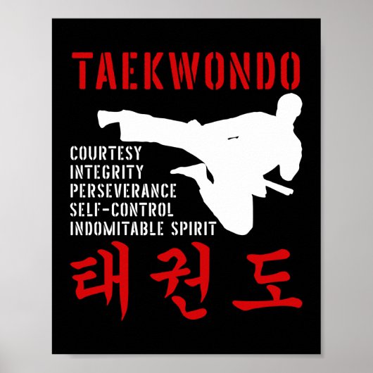 Taekwondo Poster (Vorne)