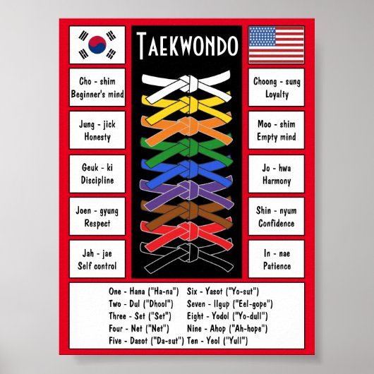 Taekwondo Poster (Vorne)