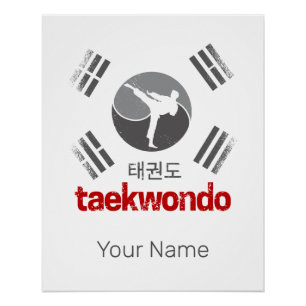 Taekwondo Retro Korea Flagge Kampfsport Vintage Poster