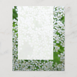 Tafel 02 - Wiesen-Kerbel Flyer