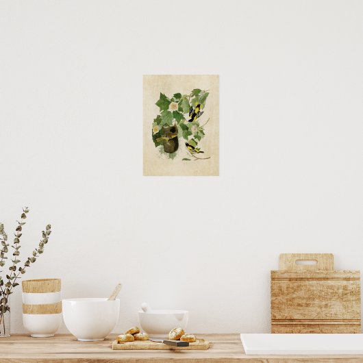 Tafel 12 | Baltimore-Trillervogel | Birds of Ameri Poster (Küche)