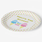 Tafel aus dem Weißbuch zur Aufdeckung von Eiskrem Pappteller (Schrägansicht)