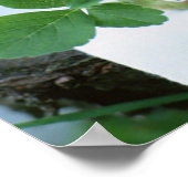 Tafel mit Erdbeeren Poster (Ecke)