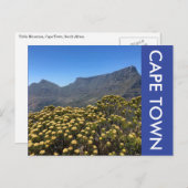 Tafelberg-Blume Postkarte (Vorne/Hinten)