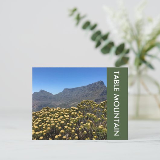 Tafelberg Postkarte (Stehend Vorderseite)