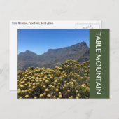 Tafelberg Postkarte (Vorne/Hinten)