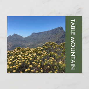 Tafelberg Postkarte