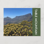 Tafelberg Postkarte (Vorderseite)