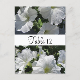 Tafelkarte "White Petunias" Postkarte