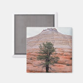 Tafelmasa Magnet (Vorderseite/Rückseite)