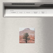 Tafelmasa Magnet (In Situ (Geschirrspüler))