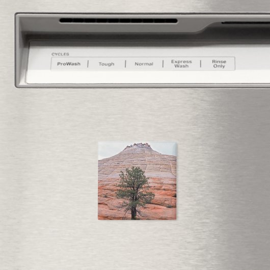 Tafelmasa Magnet (In Situ (Geschirrspüler))