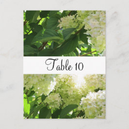 Tafelsitze für Hydrangeas Postkarte