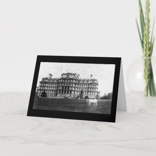 Taft's Cow Weizen in der Nähe des Krieges Gebäude  Karte (Vorderseite)