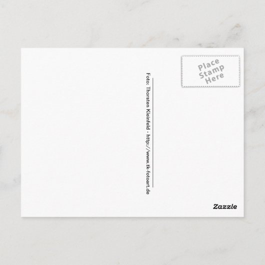 Tag 014: Bewegung Postkarte (Rückseite)