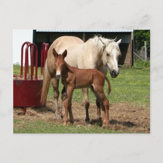 Tag 1 - Mutter und Sohn Postkarte (Vorderseite)