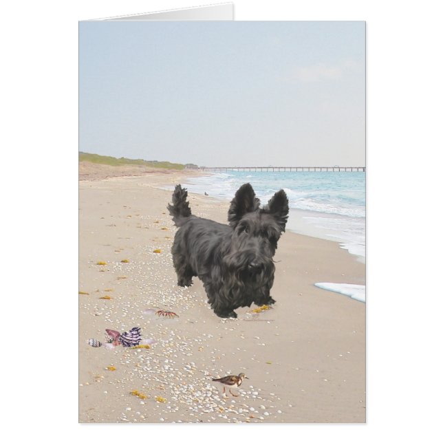 Tag am Strand (Vorne)