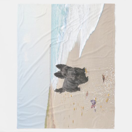 Tag am Strand Fleecedecke (Vorderseite)