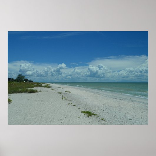 Tag am Strand mit tropischem Wasser Poster (Vorne)