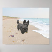 Tag am Strand Poster (Vorne)