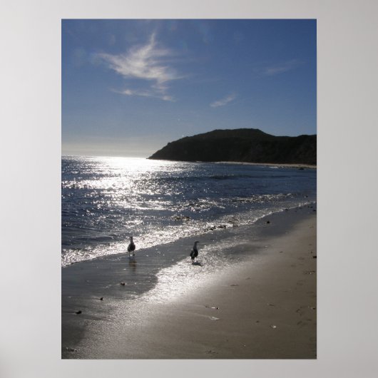 Tag am Strand Poster (Vorne)