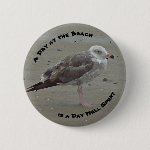 Tag am Strand Seagull Foto Shore Bird Button