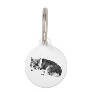 Tag Corgi, sanfter Schritt Haustiermarke