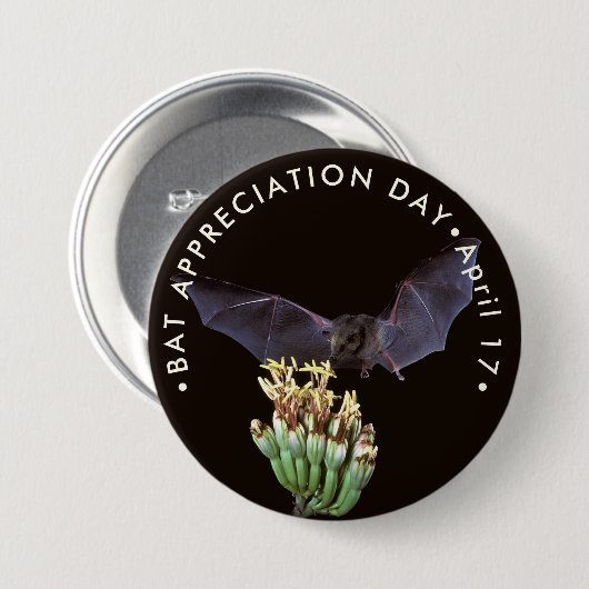 Tag der Bewertung der Becken Button (Vorne & Hinten)