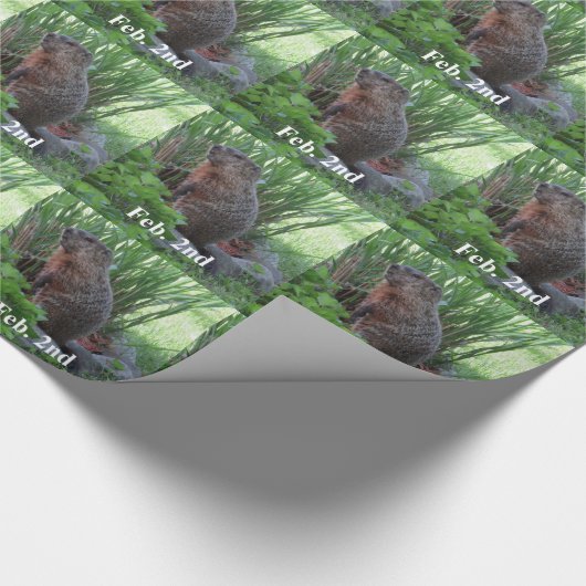 Tag der Bodenschätze Geschenkpapier (Ecke)