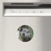 Tag der Bodenschätze Magnet (In Situ (Geschirrspüler))