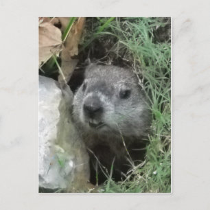 Tag der Bodenschätze Postkarte