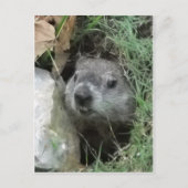 Tag der Bodenschätze Postkarte (Vorderseite)