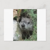 Tag der Bodenschätze Postkarte (Vorderseite)