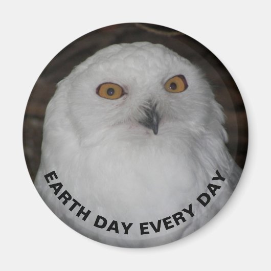 Tag der Erde Schneedecke Foto Magnet (Vorne)