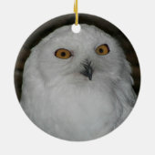 Tag der Erde Schneekugel Keramik Ornament (Hinten)