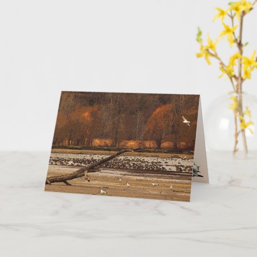 Tag der Gänse Karte (Gelbe Blume)