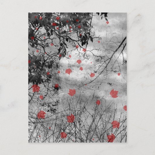 Tag der Hochzeit des Roten Briefes Ankündigungspostkarte (Vorderseite)