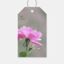 Tag der kleinen Pick-Rose