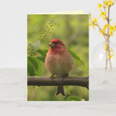 Tag der lila Finkenväter Karte (Gelbe Blume)