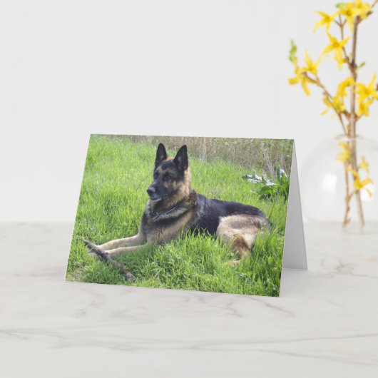 Tag der Schäferväter Karte (Gelbe Blume)