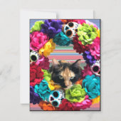 Tag der Todeskatze Feiertagskarte (Vorderseite)