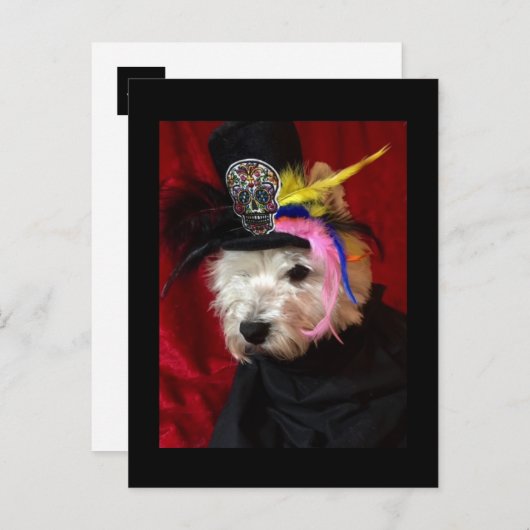 Tag der Toten Westie Postkarte (Vorne/Hinten)
