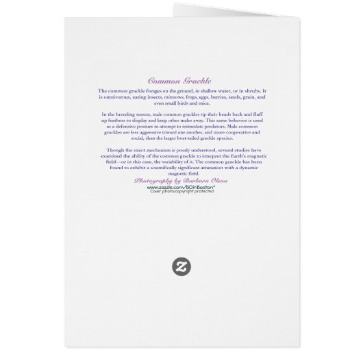 Tag der Unruhestifter (Hinten)